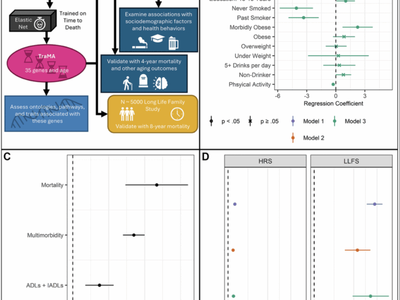 TraMA: New RNA-Based Measure Predicts Mortality Risk and Tracks Aging