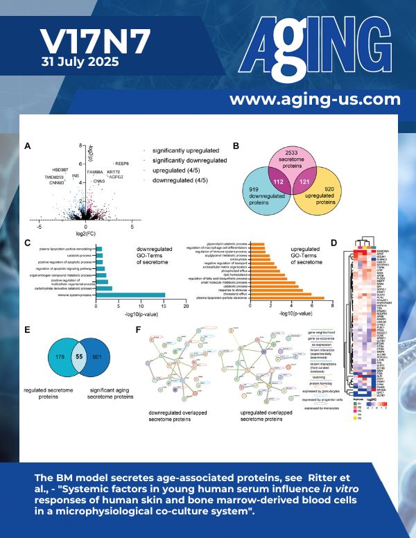 Young Human Blood Serum Factors Show Potential to Rejuvenate Skin Through Bone Marrow