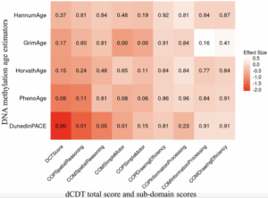 Faster Biological Aging Linked to Cognitive Decline in Older Adults