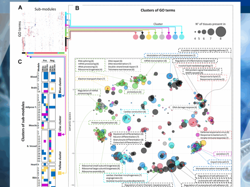 Aging Volume 17, Issue 12