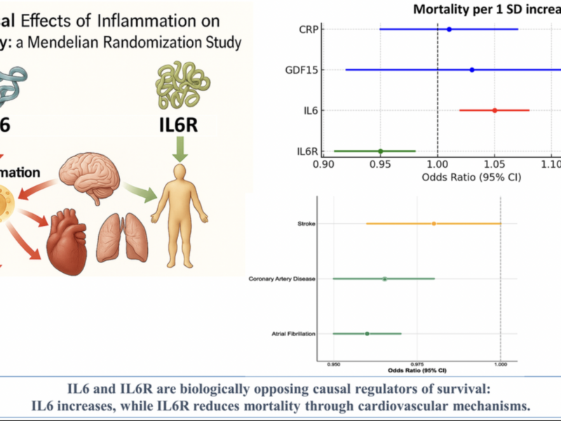 Study Identifies Opposing Roles for IL6 and IL6R in Long-Term Mortality