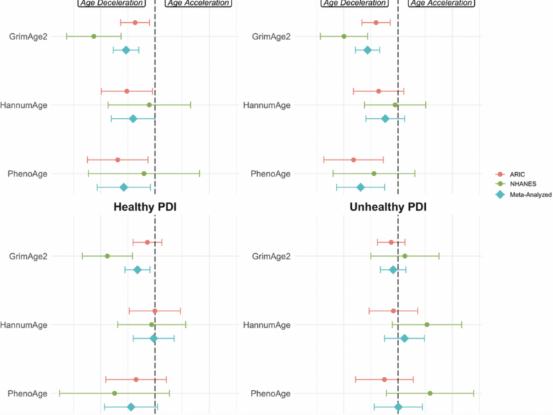 Plant-Based Dietary Patterns Linked to Slower Epigenetic Aging