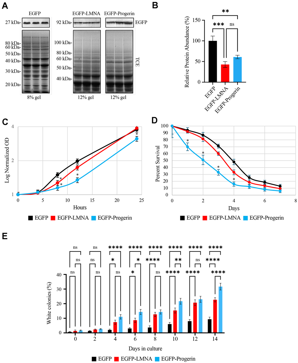 Modeling Premature Aging in Yeast Reveals Key Effects of Progerin on Cellular Lifespan