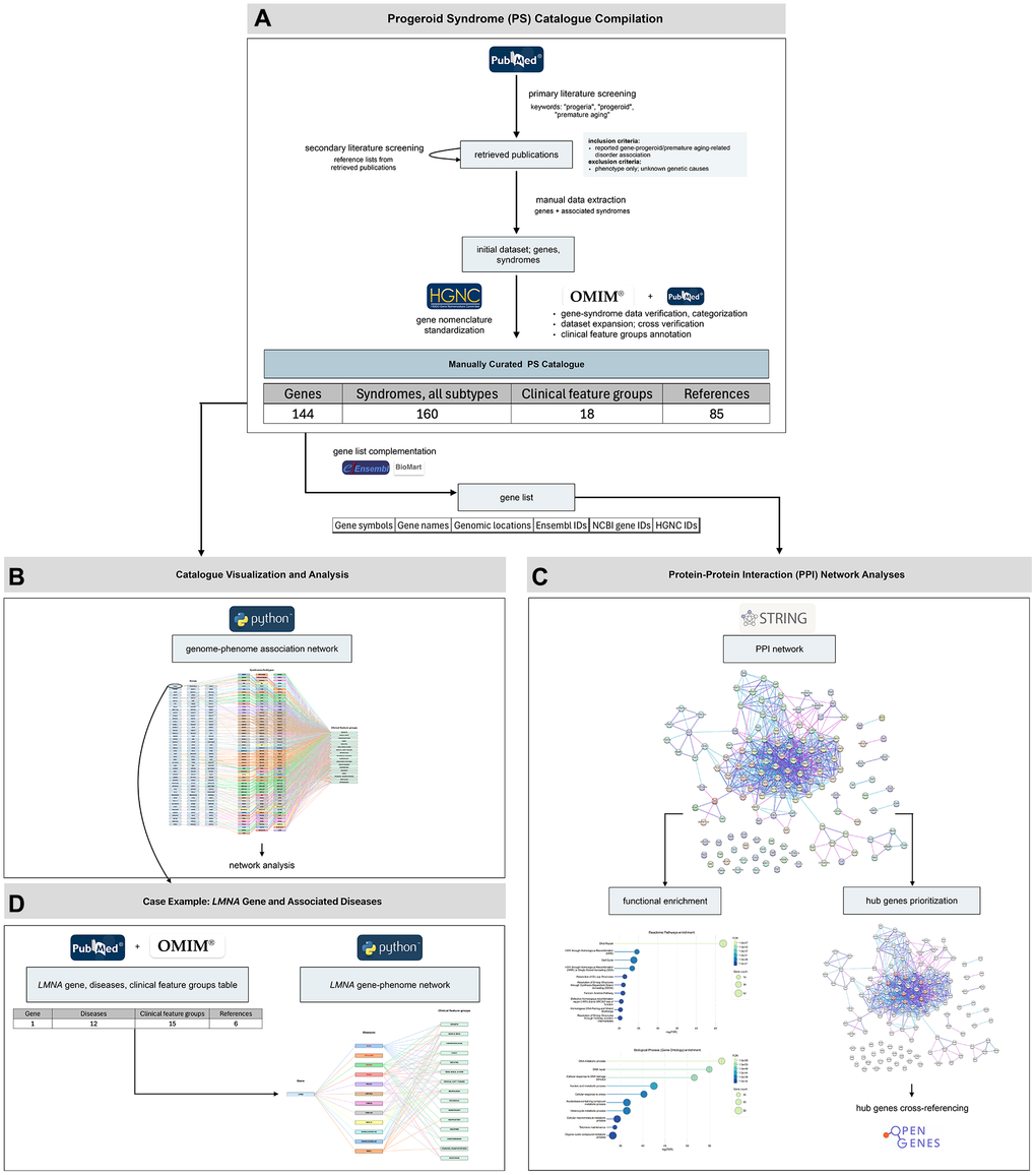 Gene–Phenotype Catalogue Provides New Insights into Premature Aging Disorders