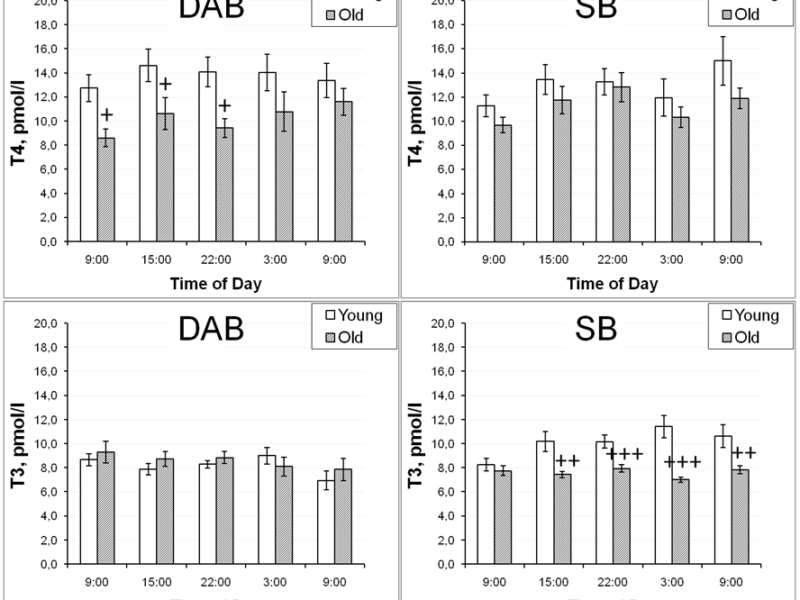 Nonhuman Primate Research Reveals How Aging, Stress, and Behavior Can Interact to Increase Disease Risk